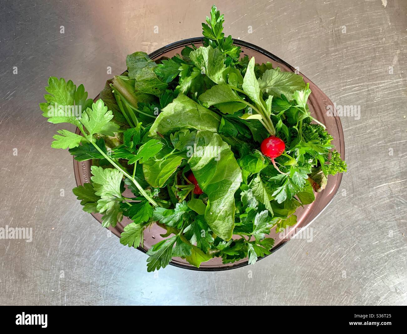 Insalata verde in ciotola vista dall'alto giardino di casa - Immagine stock catturata con smartphone