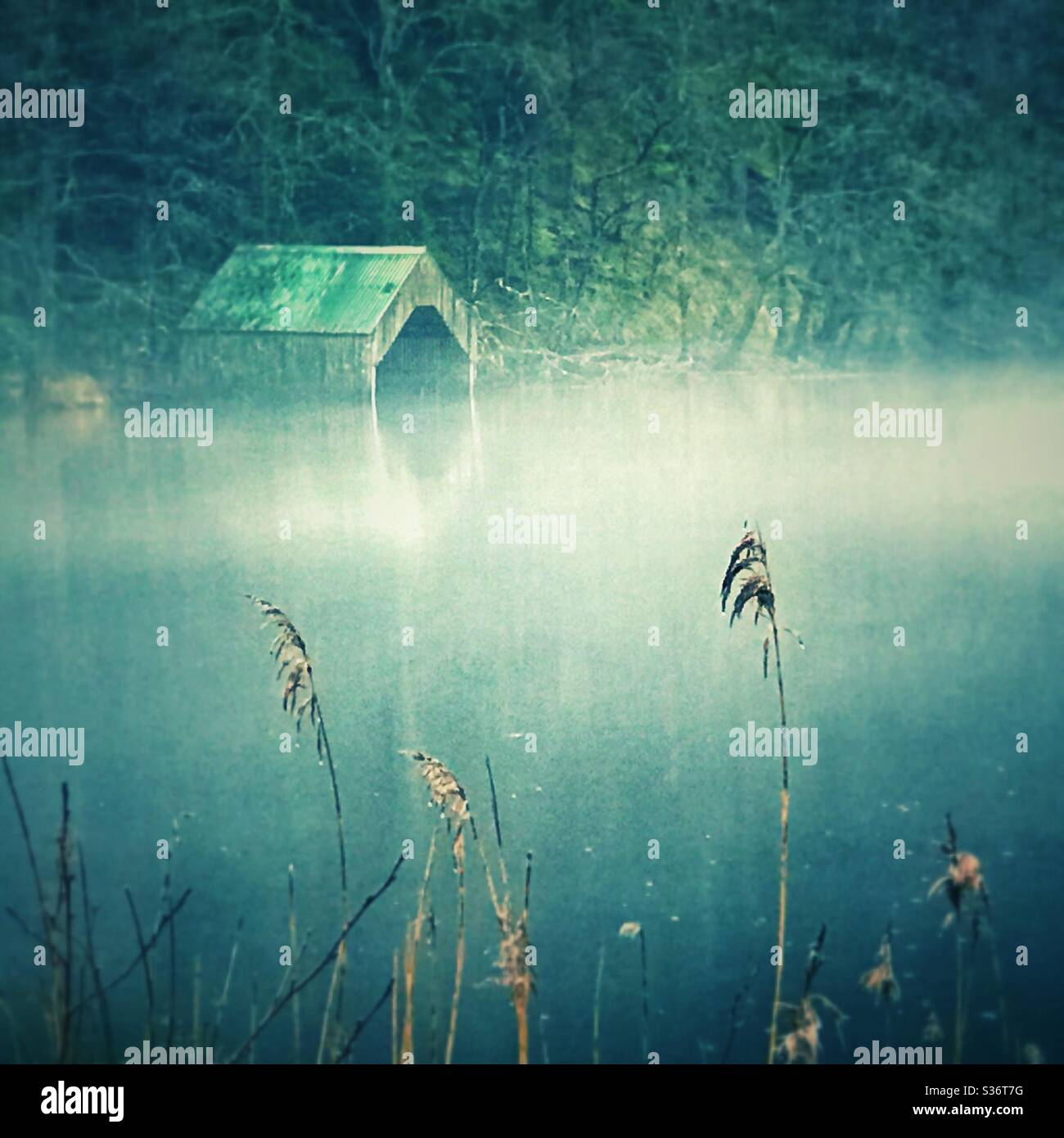 Misty Loch Ard, Scozia. Foto Stock
