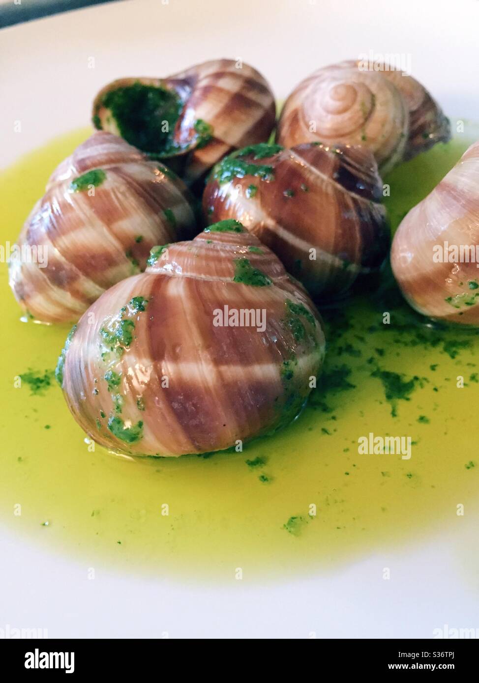 Escargot è servito in conchiglie di lumaca nuotando in una salsa all'aglio al burro Foto Stock