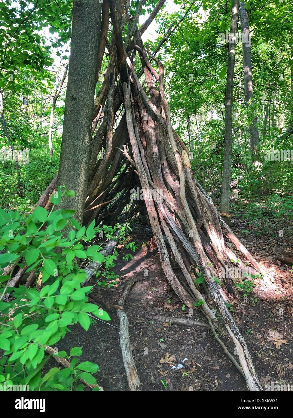 Un nascondiglio segreto della foresta Foto stock - Alamy