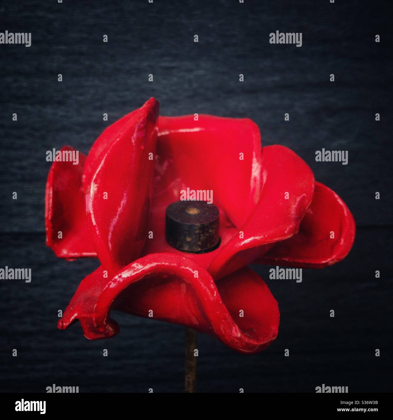 Red Tower of London Ceramic Poppy su sfondo nero. Foto Stock