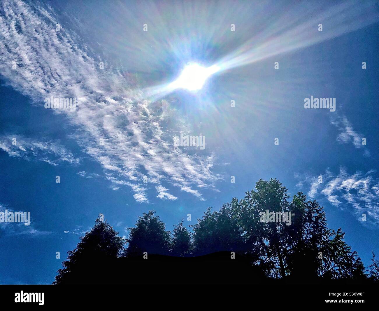 Cielo blu, nuvole e raggi del sole sopra le cime degli alberi. Foto Stock