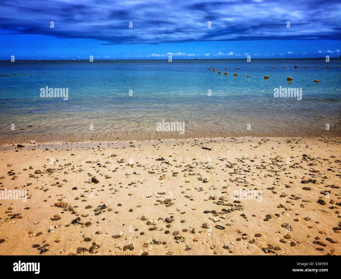 Pietre su una spiaggia tropicale a Mauritius. Foto Stock