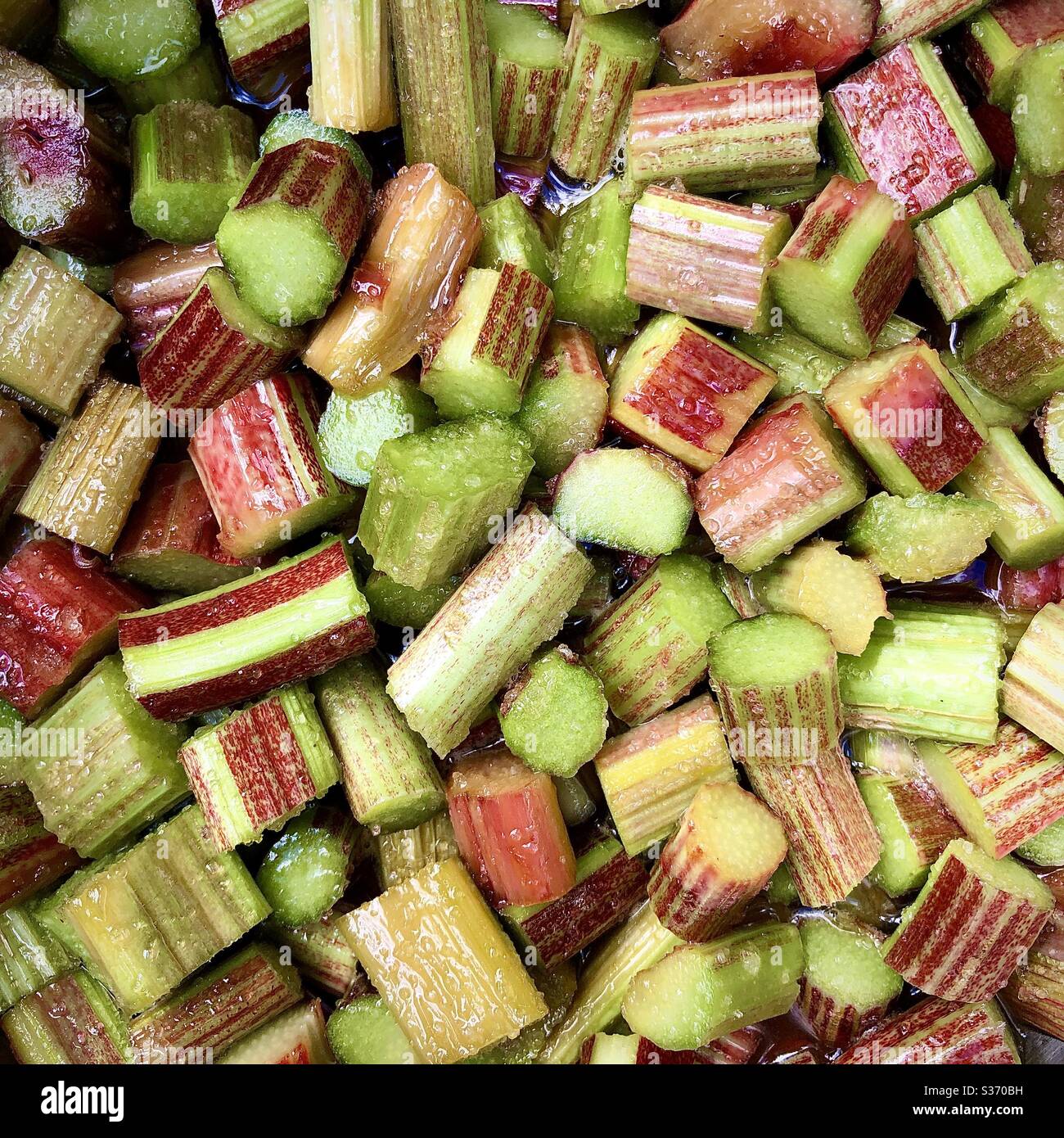 Rabarbaro stufato. - Immagine stock catturata con smartphone