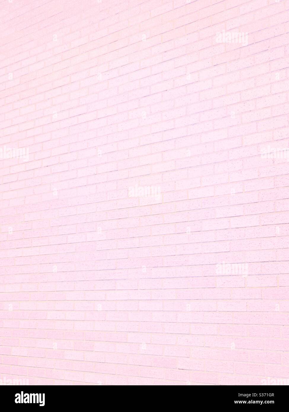 Sfondo rosa chiaro della parete di mattoni con prospettiva Foto Stock