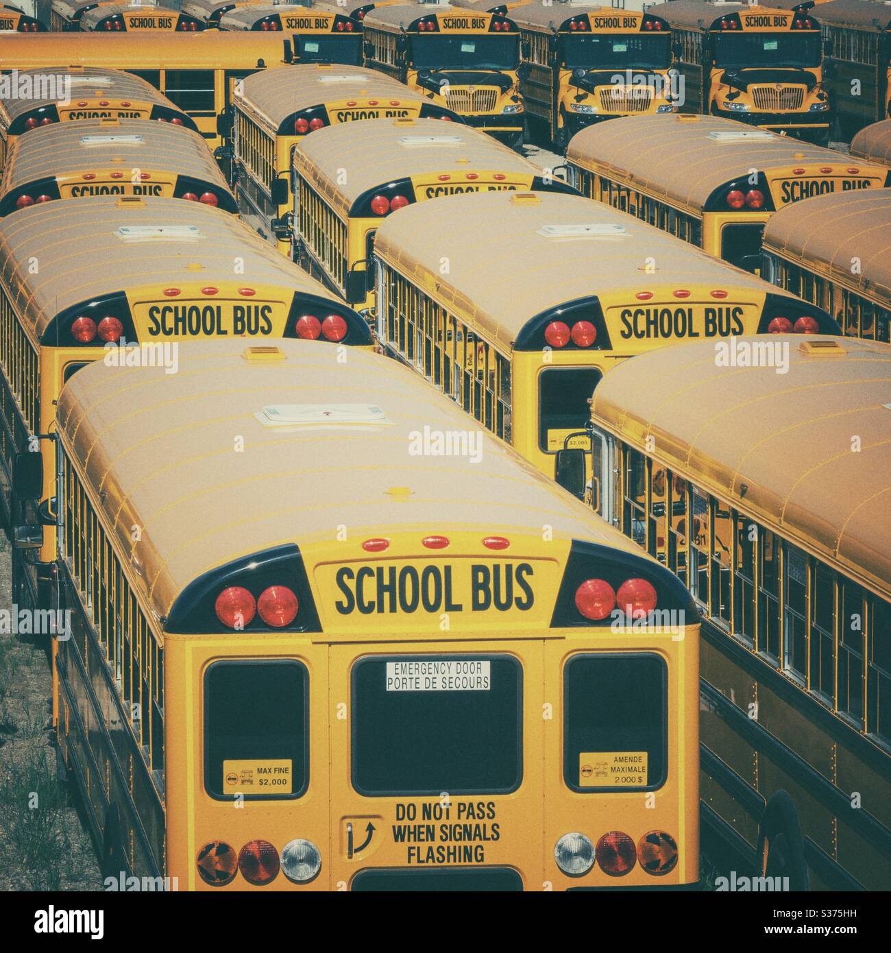 Yellow North American School Bus in un deposito Yard Foto Stock