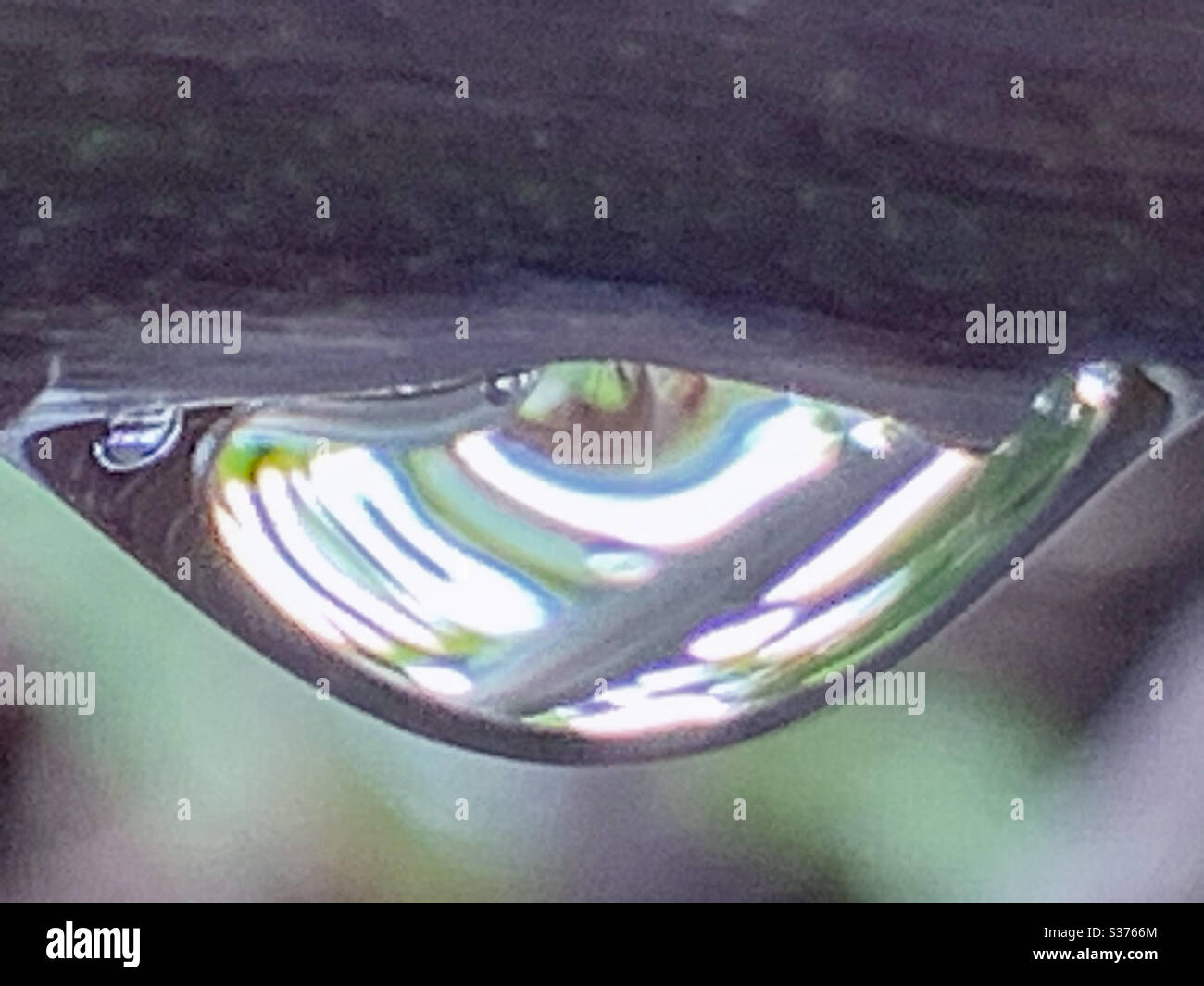 Gocciolina d'acqua che si stende da una foglia scintillante al sole Foto Stock