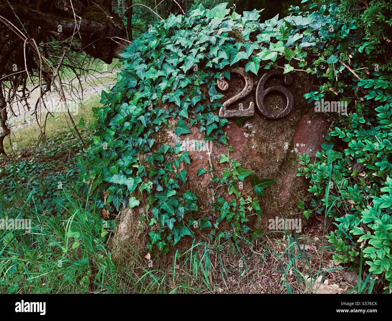 La casa alla fine del vicolo. Foto Stock