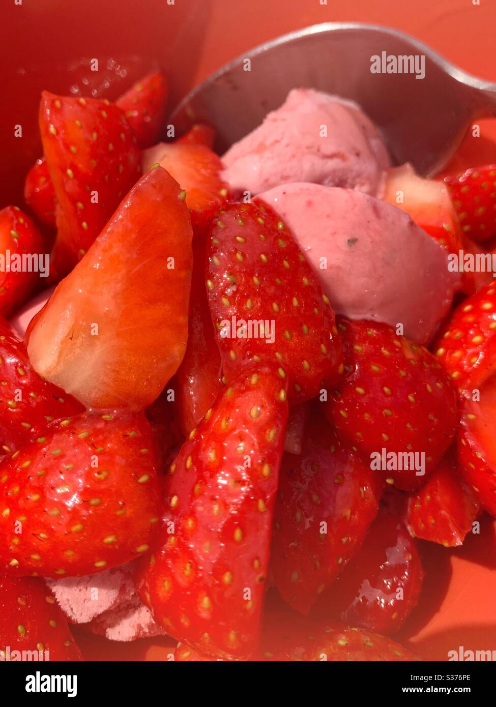 Fragole fresche e gelato alla fragola. Tennis Wimbledon. Dessert estivo fresco. Frutta succosa dolce e gelato cremoso. - Immagine stock catturata con smartphone