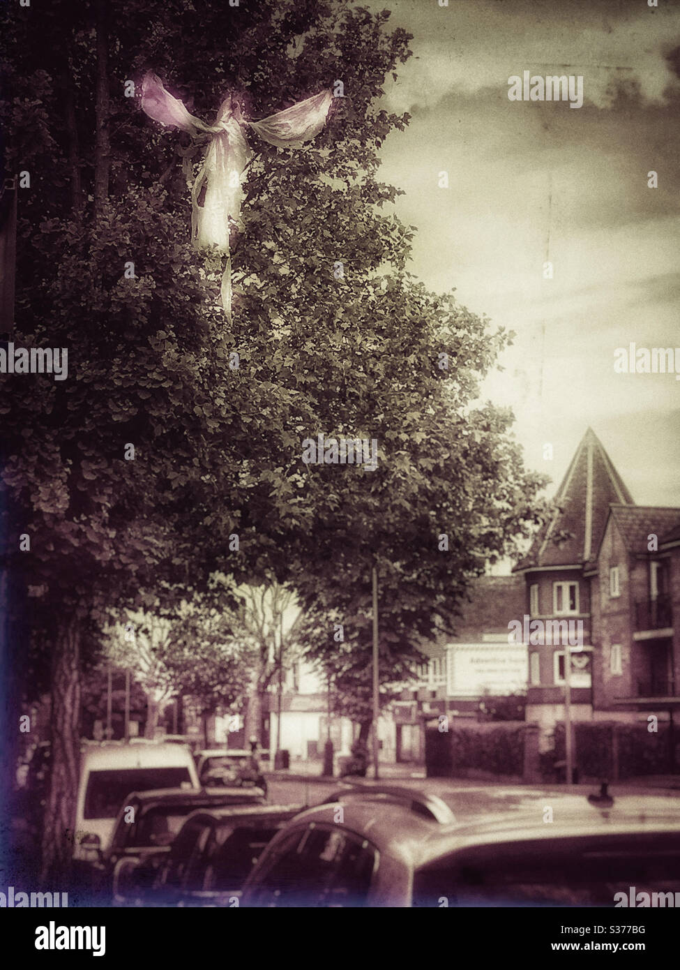 La plastica catturata nei rami di un albero in East Finchley assomiglia ad un angelo - Immagine stock catturata con smartphone
