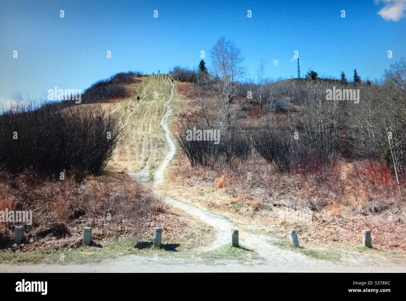 Sentiero escursionistico, Edworthy Park, Calgary, Alberta Foto Stock