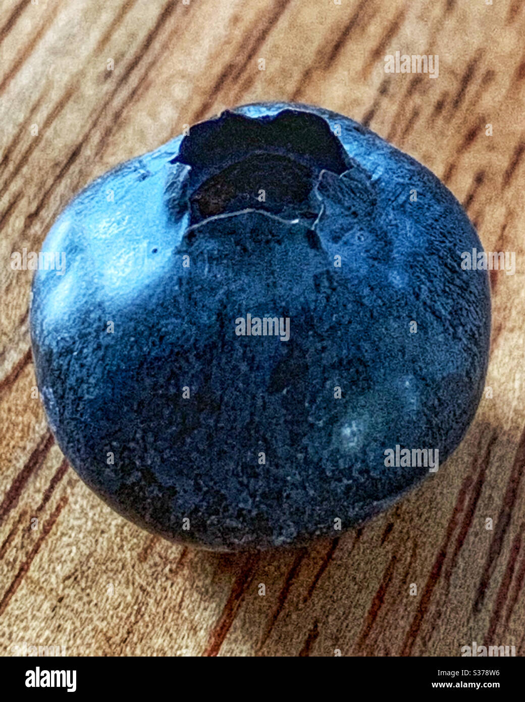 Un unico Juicy plump maturo mirtillo - Immagine stock catturata con smartphone