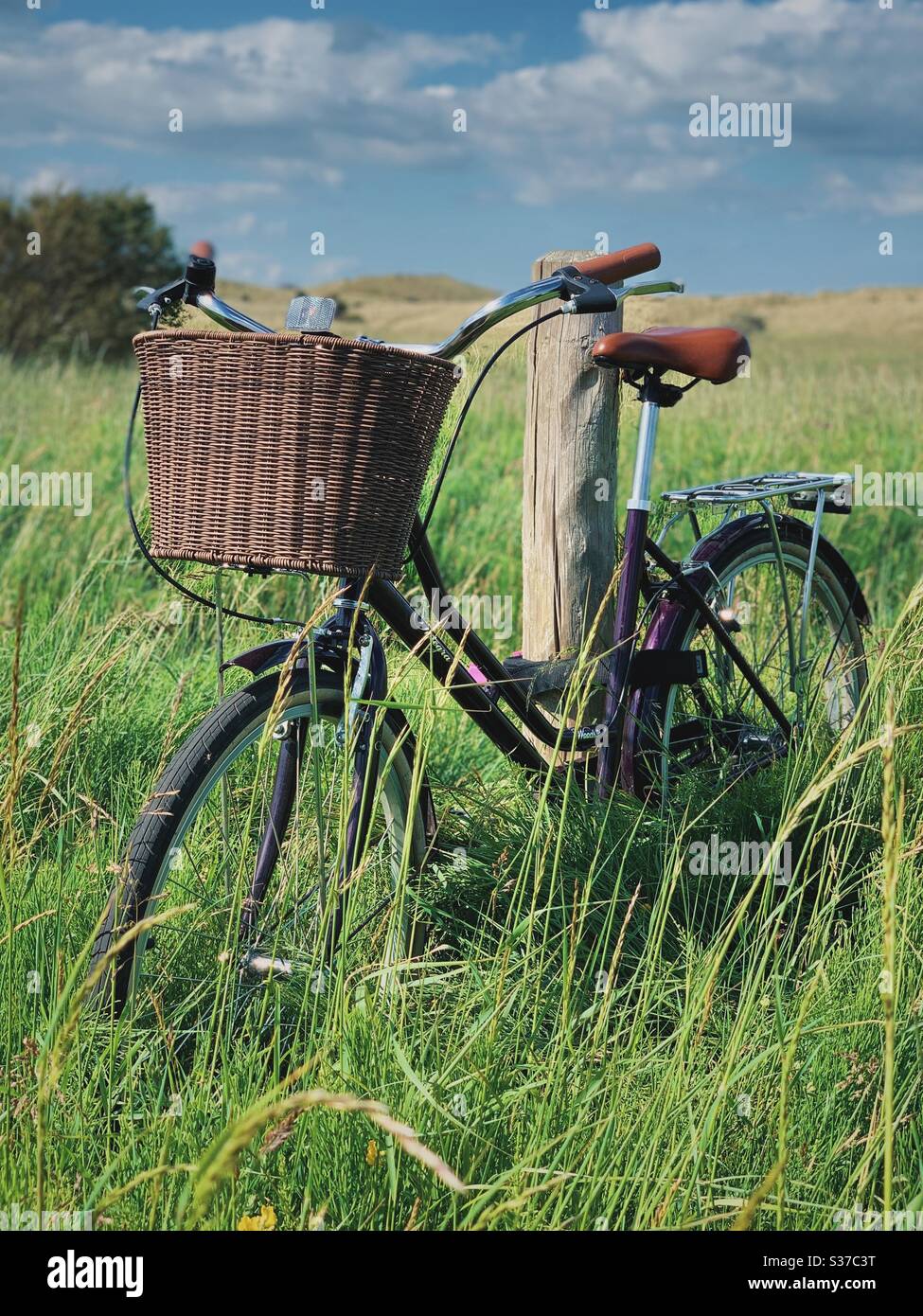 Una bicicletta vintage con un cesto parcheggiato in un campo. Foto Stock