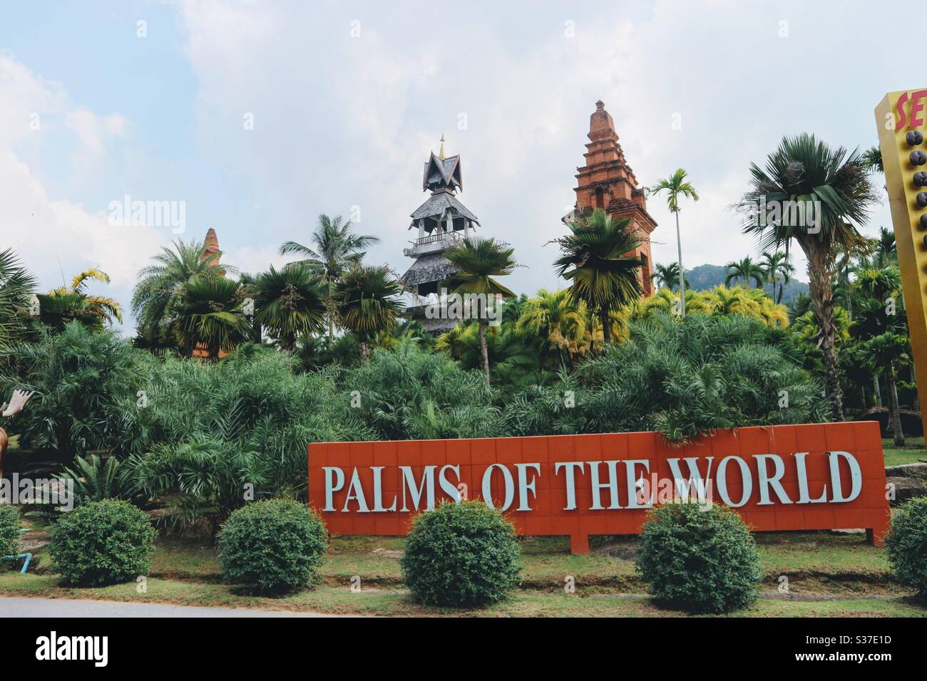 Il paesaggio di palme zona alberi nel giardino NongNooooch. Foto Stock