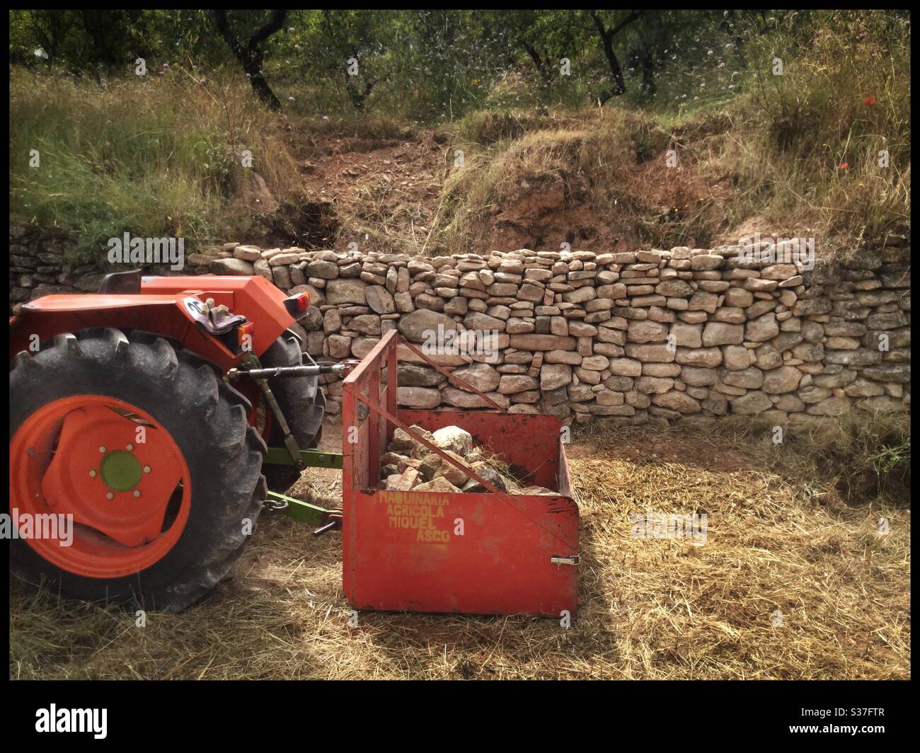 Riparazioni di muri a secco, Catalogna, Spagna. Foto Stock