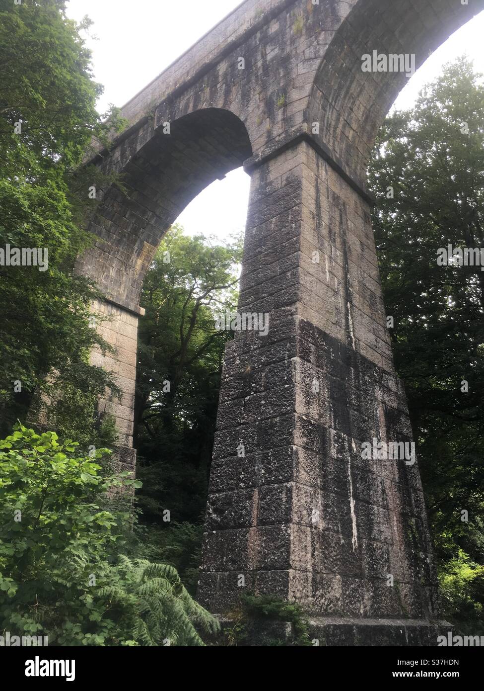 Guardando in alto al Viadotto di Treffry, la valle di Luxulyan, Cornovaglia Regno Unito Foto Stock