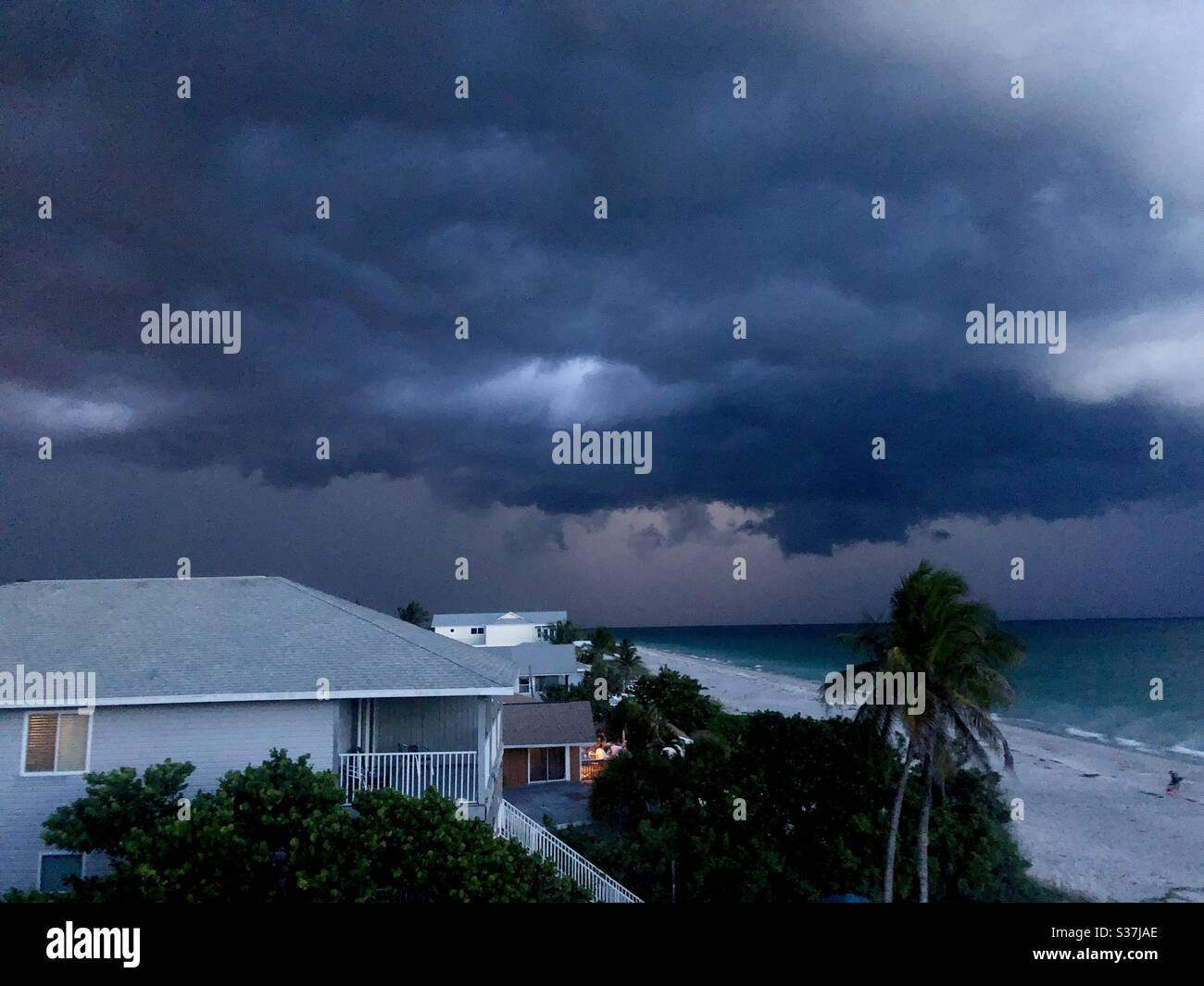 Spettacolare tempesta estiva sulla costa del Golfo di Englewood, Florida. Foto Stock