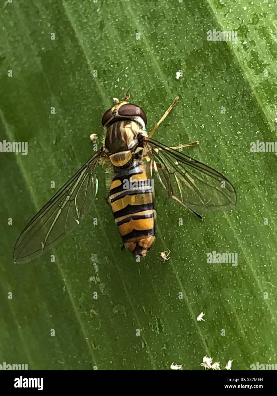 Pausa pranzo - Immagine stock catturata con smartphone