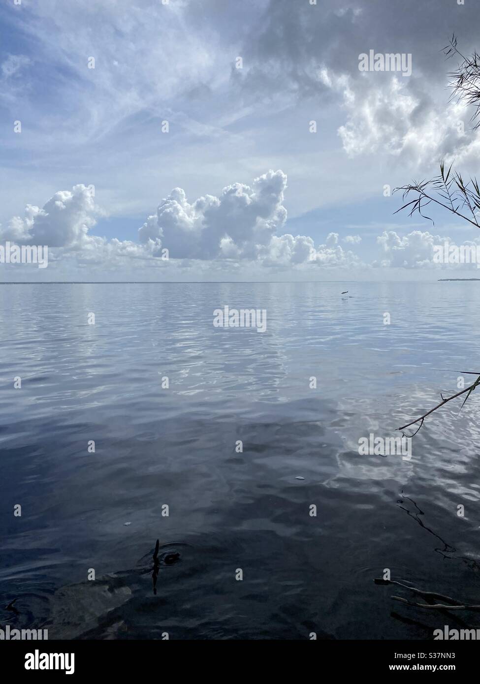 Nuvole soffici bianche sull'acqua della baia con un pesce che salta fuori dall'acqua in lontananza - Immagine stock catturata con smartphone