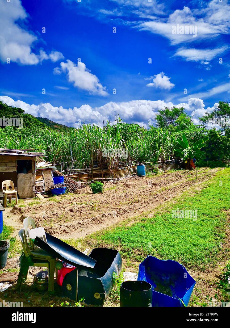 Una piccola fattoria agricola sull'isola di Lamma a Hong Kong. Foto Stock