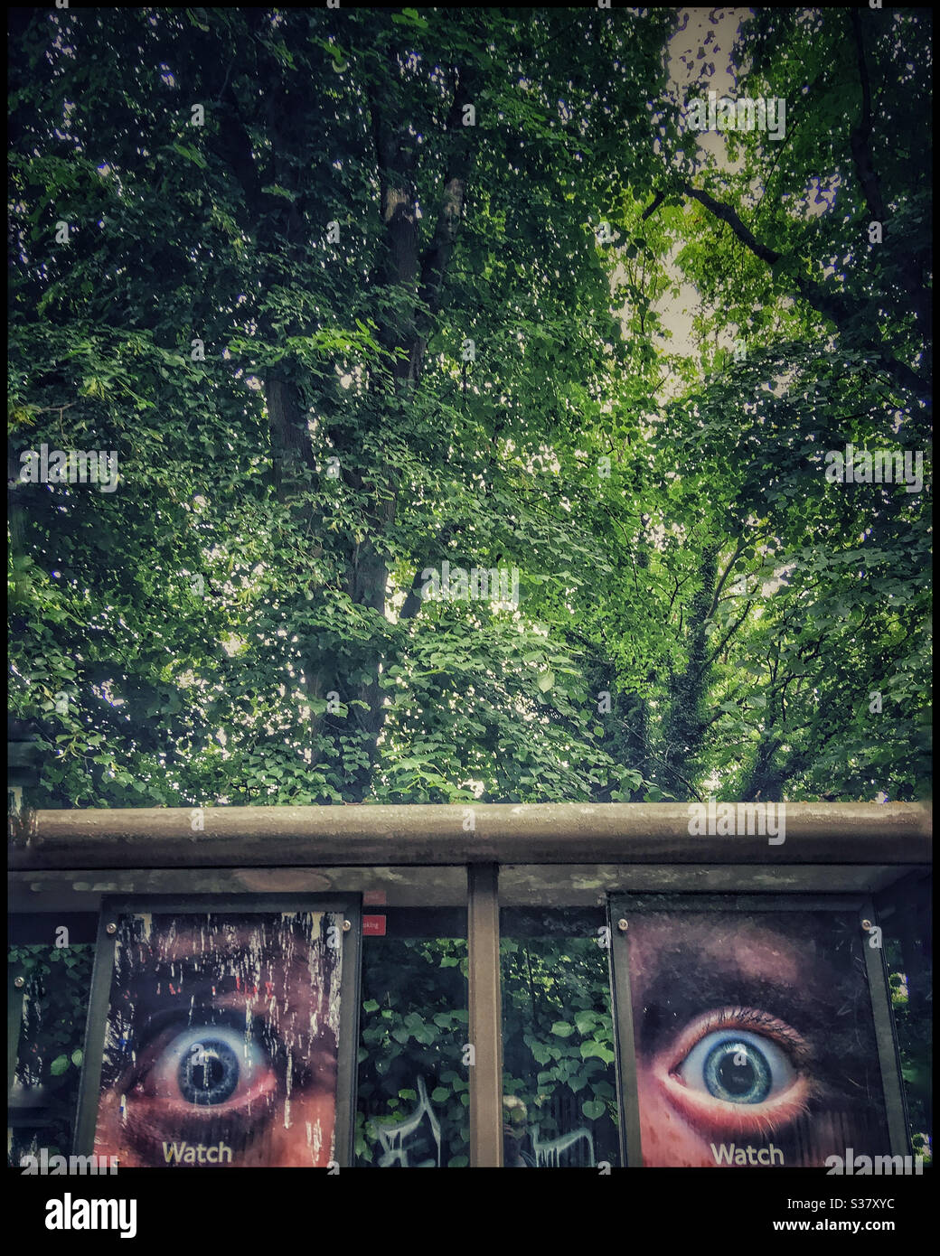 Due poster ‘Guarda la tua velocità’ in un rifugio vicino a Highgate Woods, a nord di Londra. Foto Stock