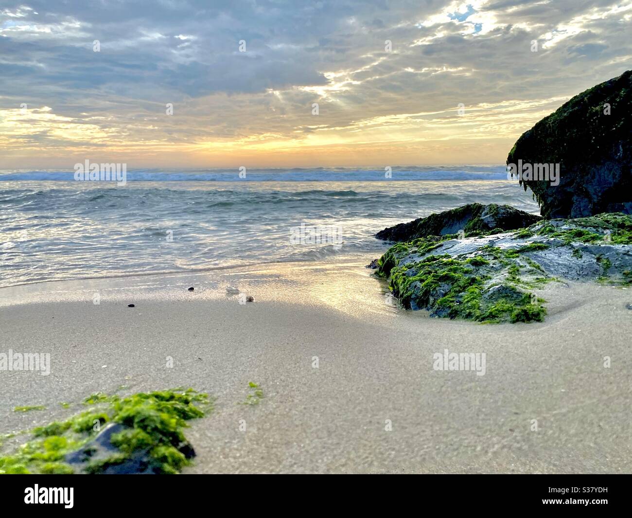 Bellissima spiaggia sabbiosa con oceano e rocce ricoperte di alghe Foto Stock