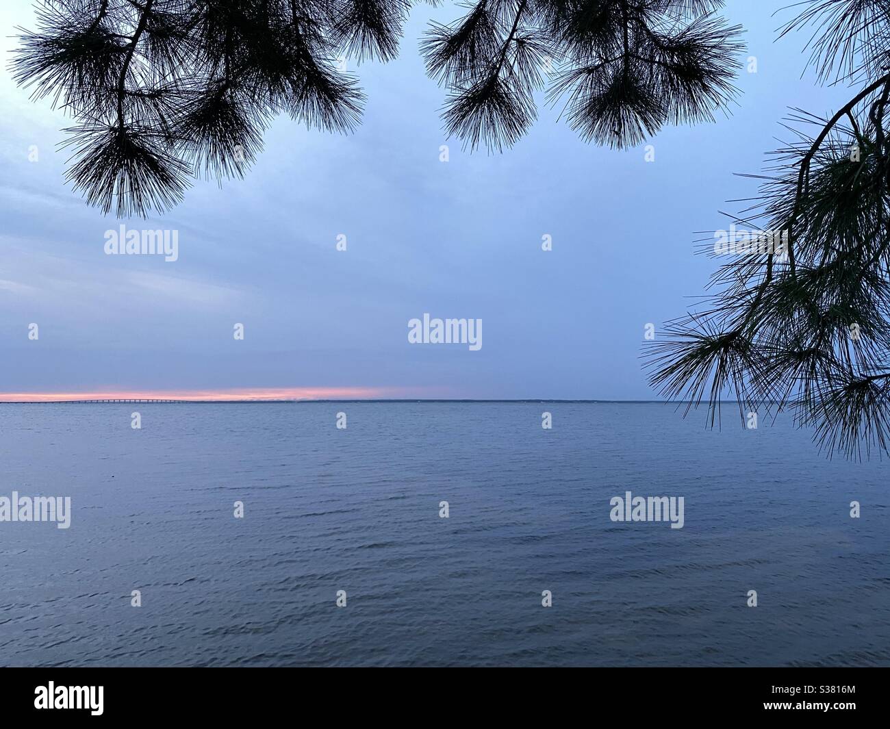 Tramonto dall'atmosfera blu sull'acqua della baia con una linea di rosa sullo skyline Foto Stock