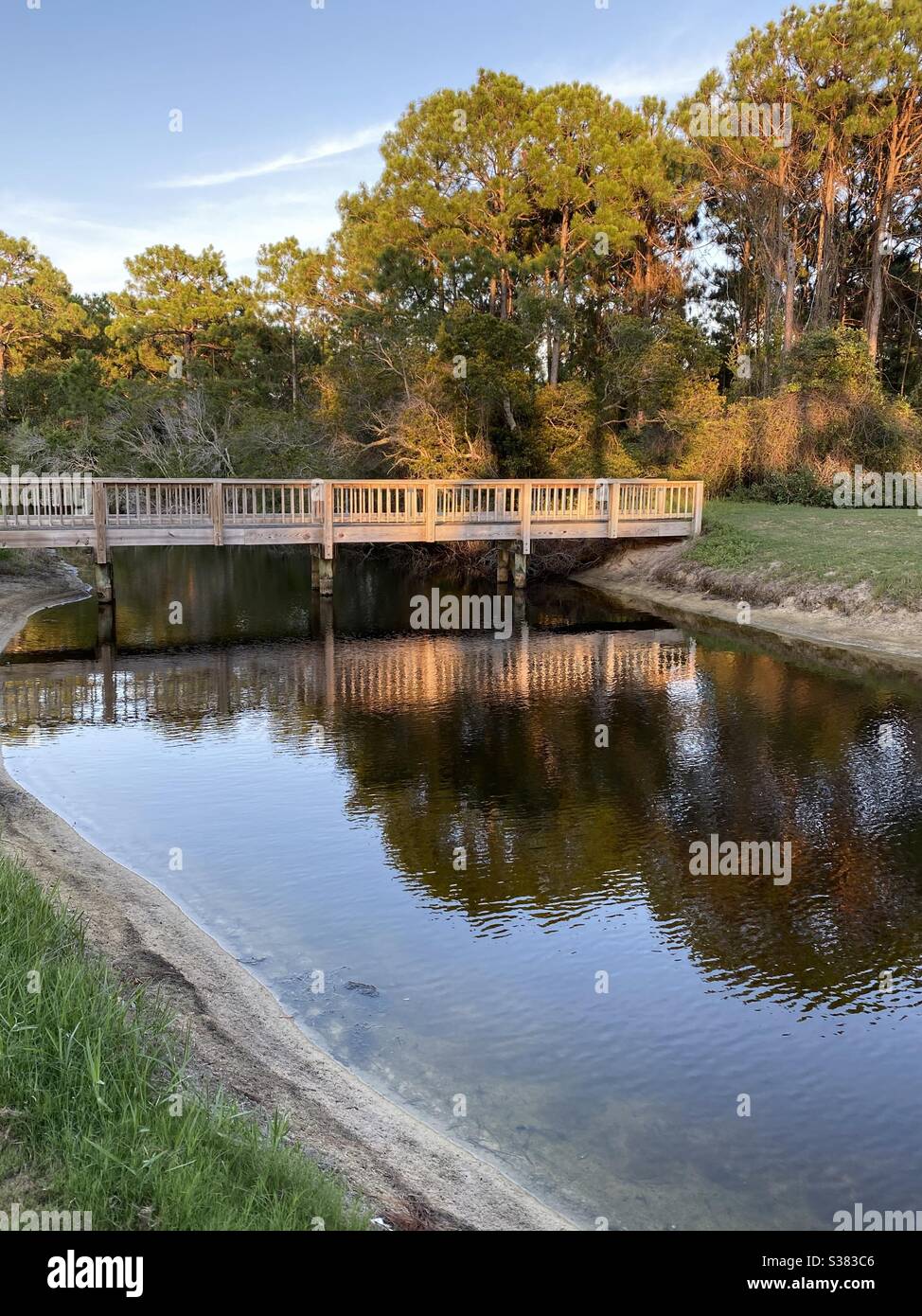 Sole che illumina su un ponte di legno e alberi su un laghetto di acqua con riflessi Foto Stock