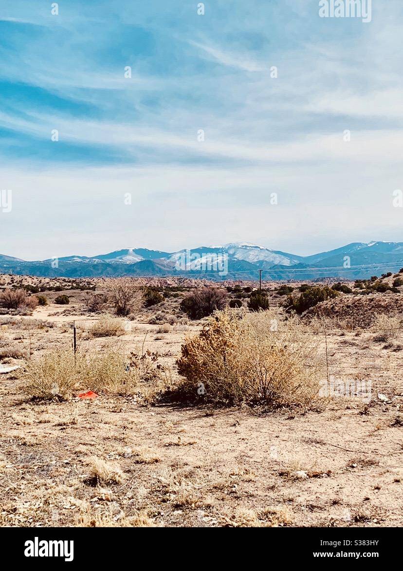 deserto del new mexico Foto Stock