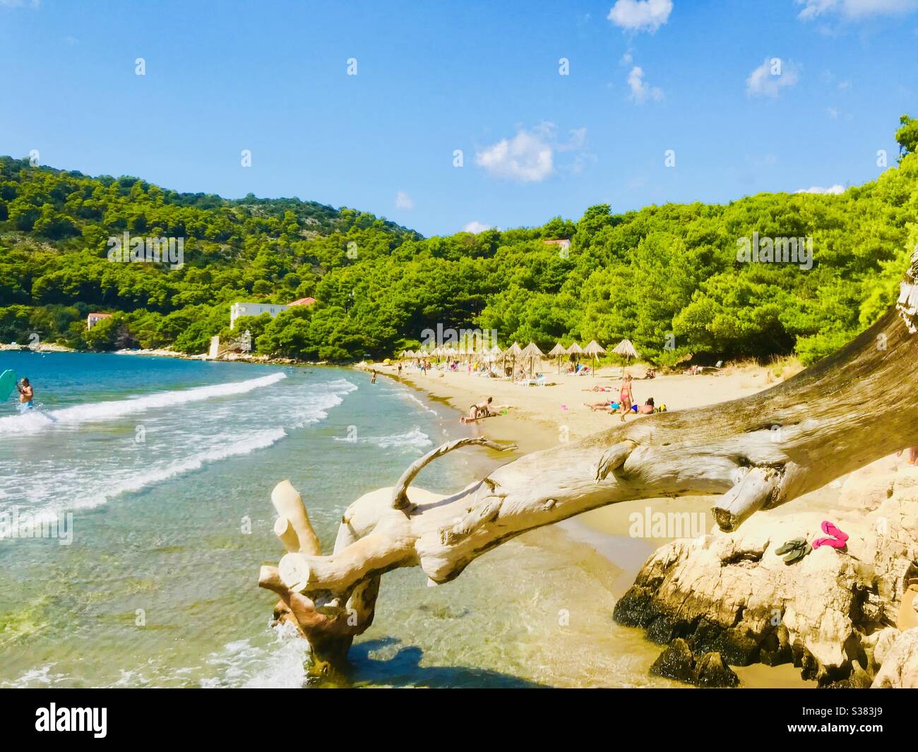 Spiaggia in Croazia Foto Stock