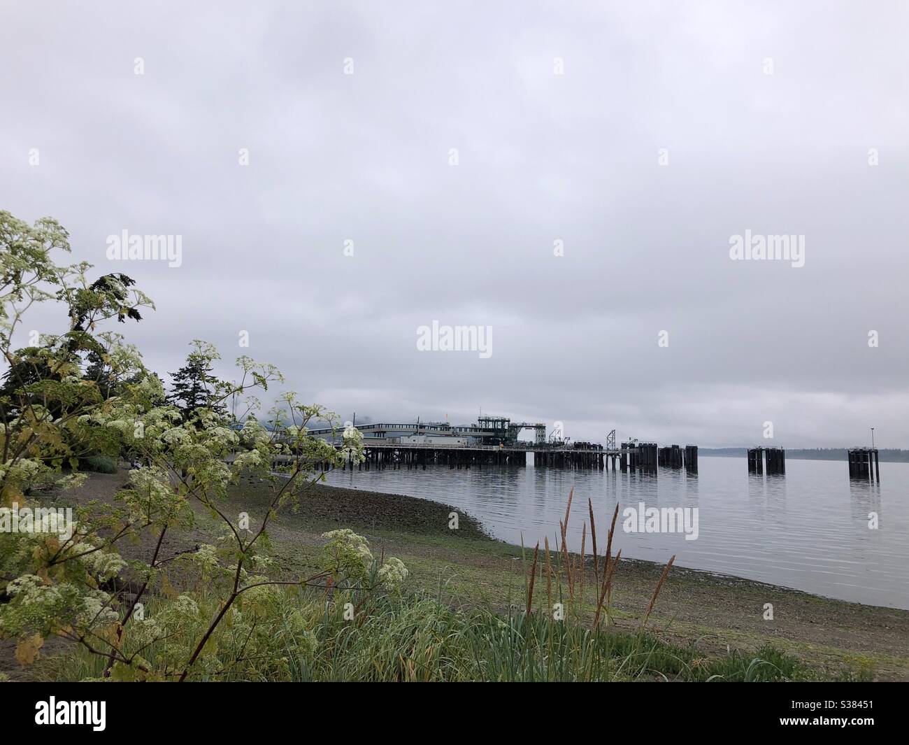 La triste estate del Pacifico nord-occidentale sulla spiaggia con il traghetto dock ad Anacortes, stato di Washington Foto Stock