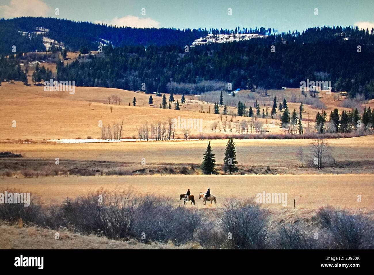 Due persone sono a cavallo, equitazione, relax, rinfrescante, ai piedi delle Montagne Rocciose canadesi, piacere, ricreativo, aria fresca Foto Stock