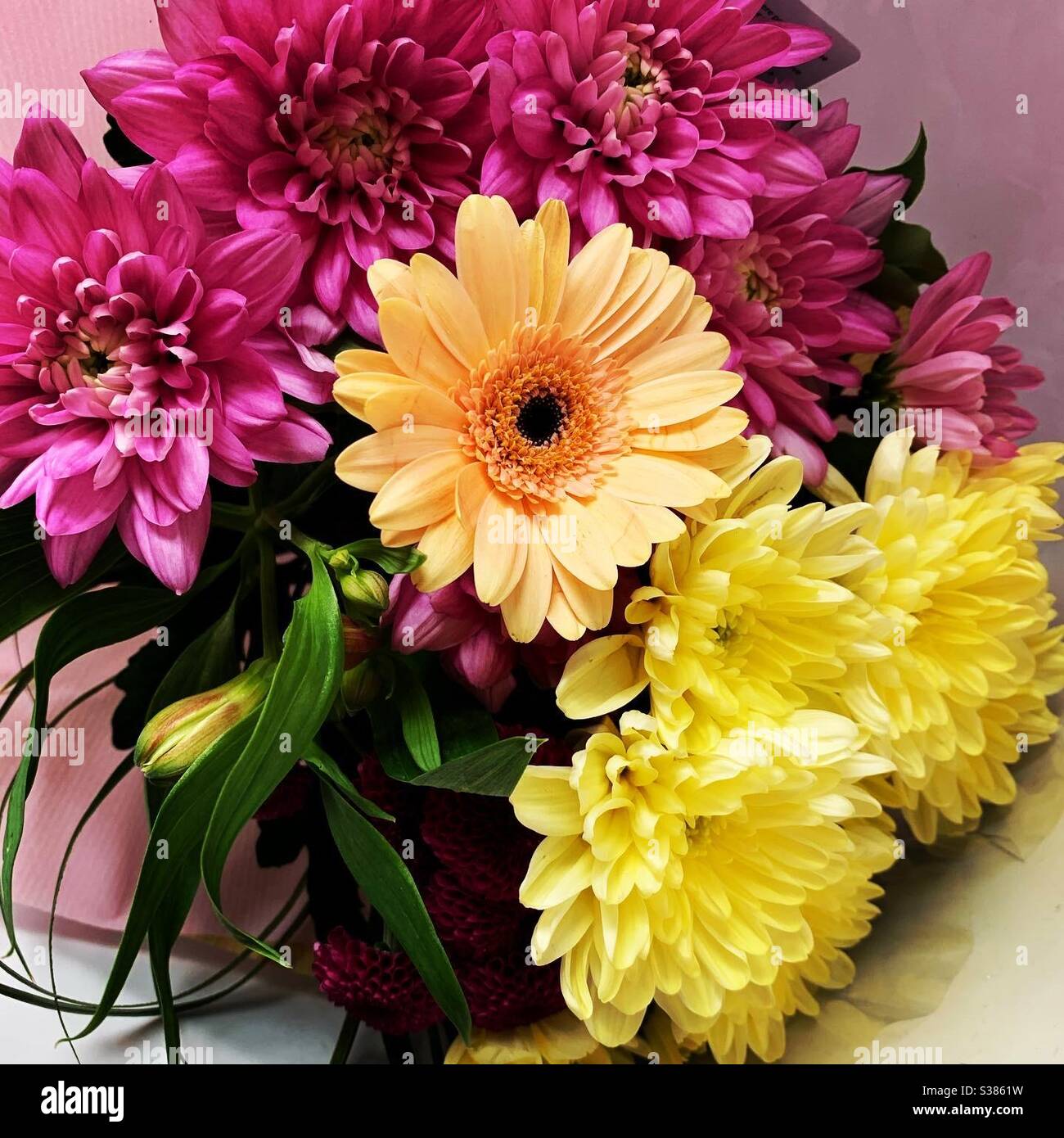 Un mazzo di fiori freschi, tra cui Gerbera, Lily, Dahlia e Crisantemi. Foto Stock