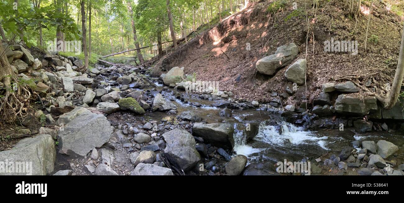 Panorama paesaggio West Point Foundry Preserve Brook Cold Spring NY - Immagine stock catturata con smartphone