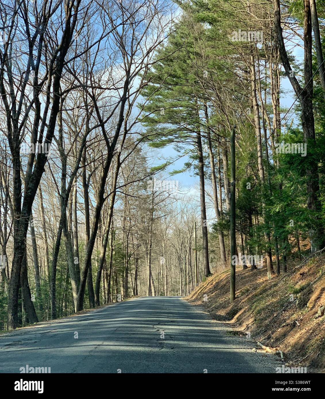 Una strada rurale nel Massachusetts, all'inizio della primavera, Stati Uniti Foto Stock