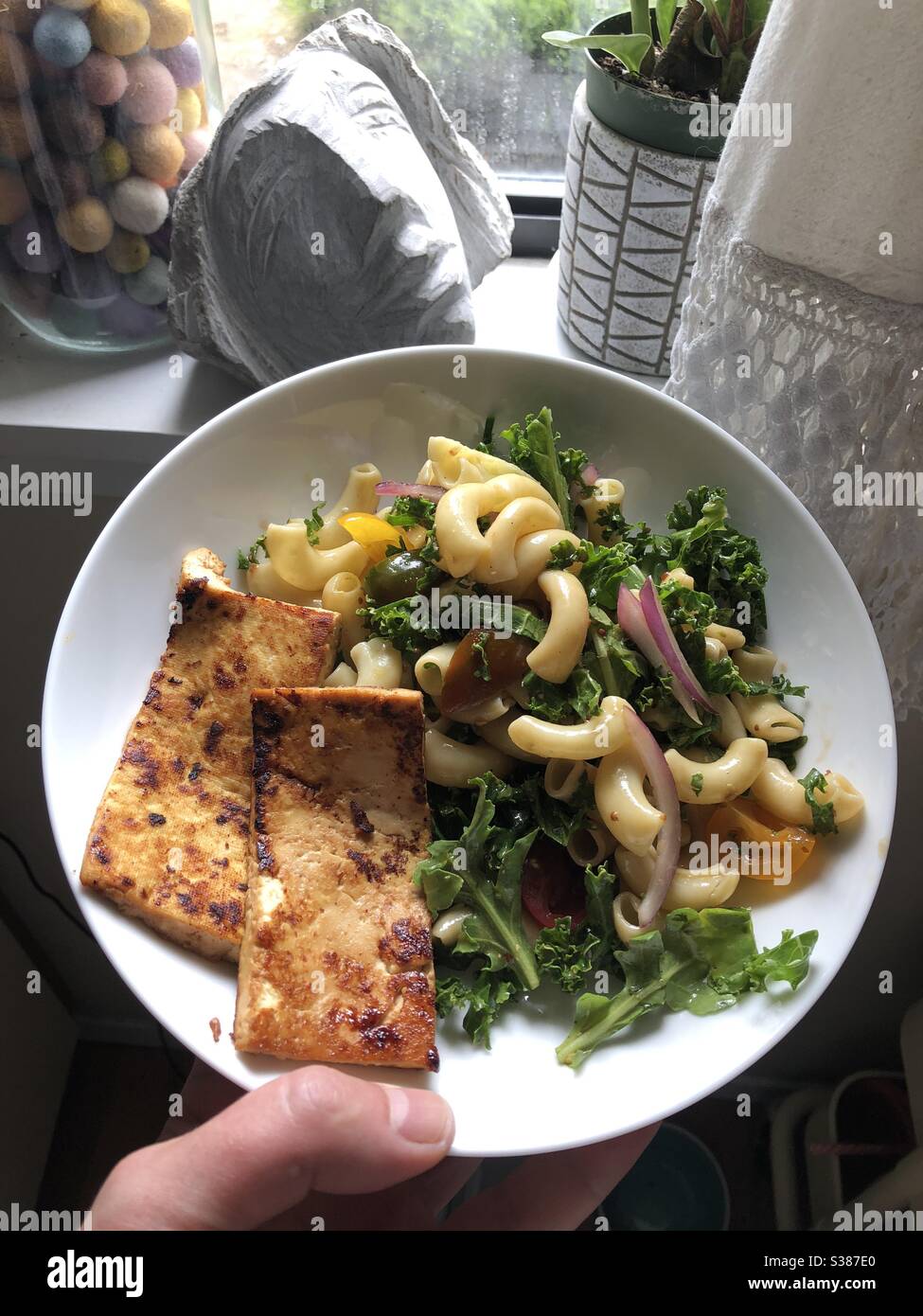 Pranzo vegano appena cucinato con insalata di pasta e bistecche di tofu Foto Stock
