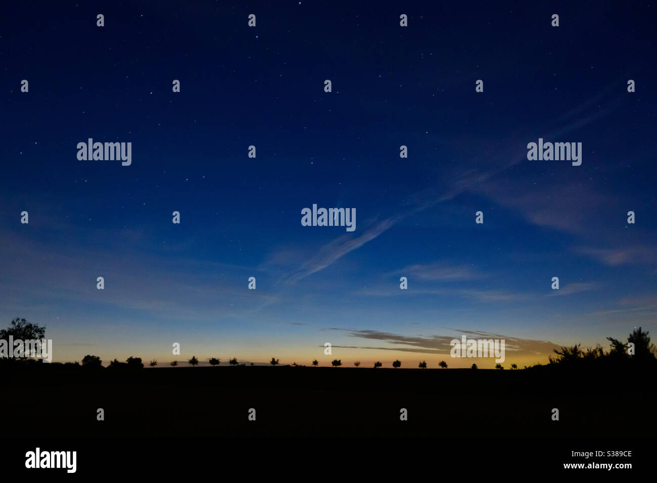 Frasi Sulla Stella Cometa Di Natale.Cometa Dorata Immagini E Fotos Stock Alamy