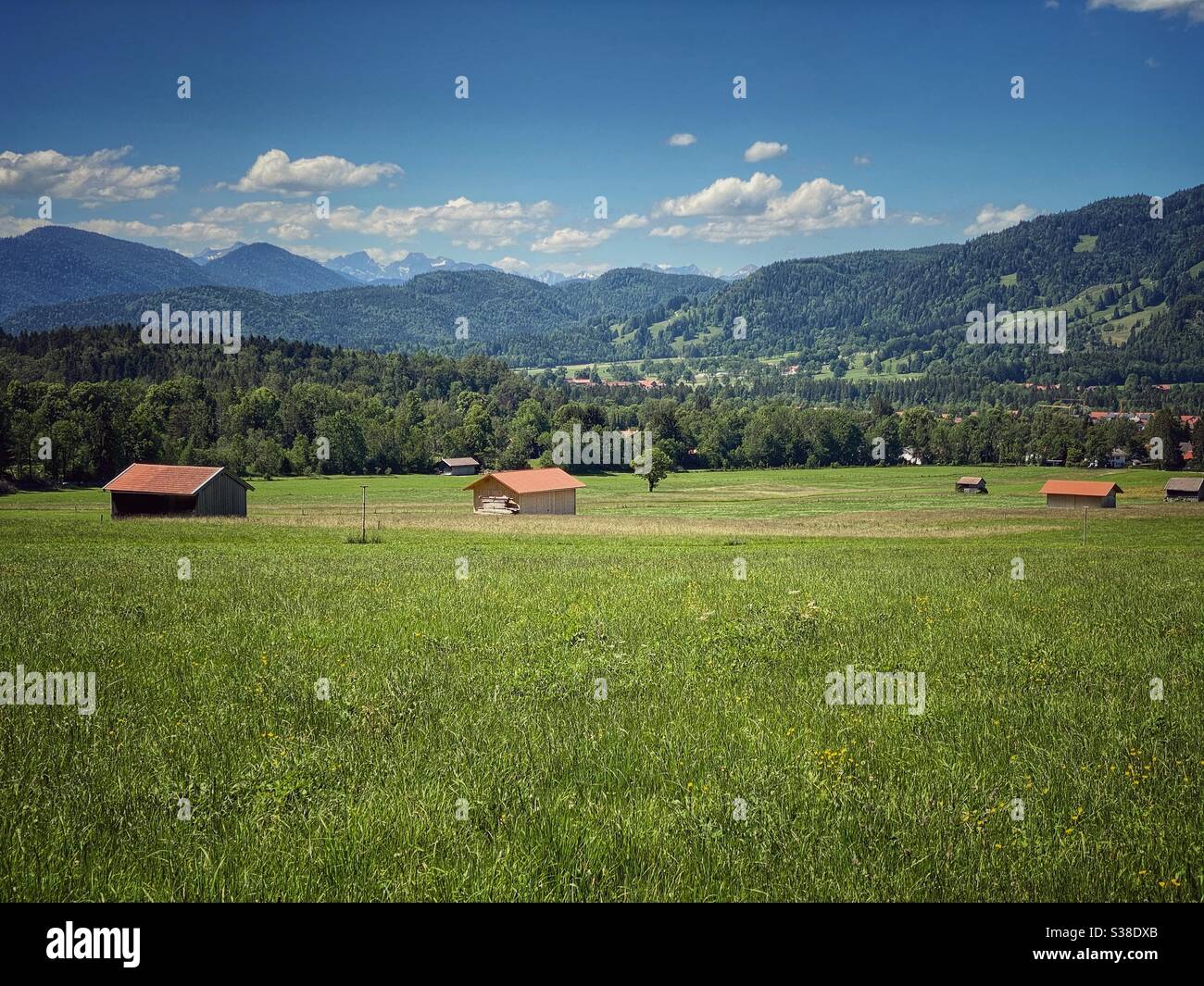 Vista sui verdi prati alpini con le Alpi bavaresi e austriache sullo sfondo. - Immagine stock catturata con smartphone