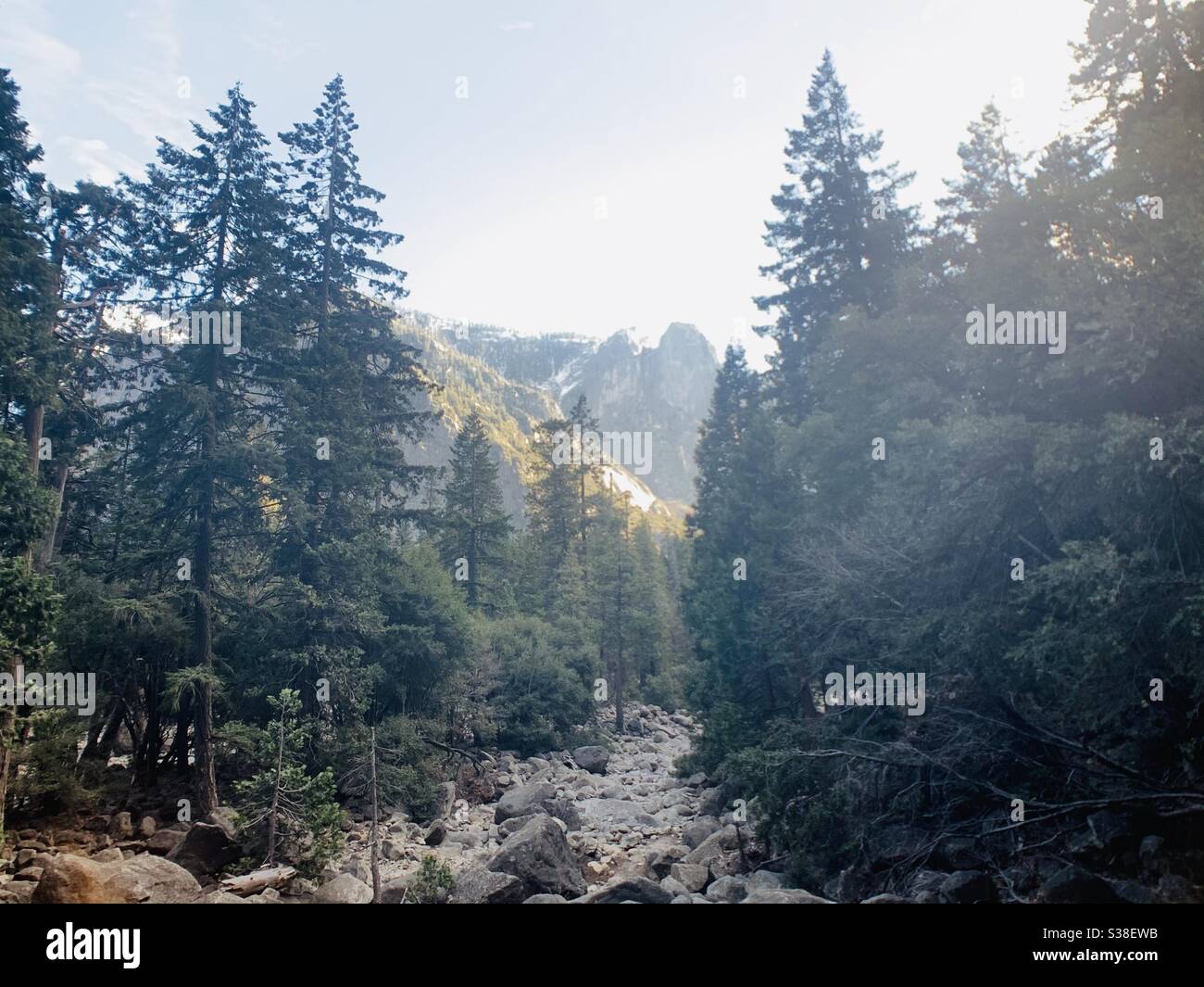 Parco nazionale di Yosemite Foto Stock