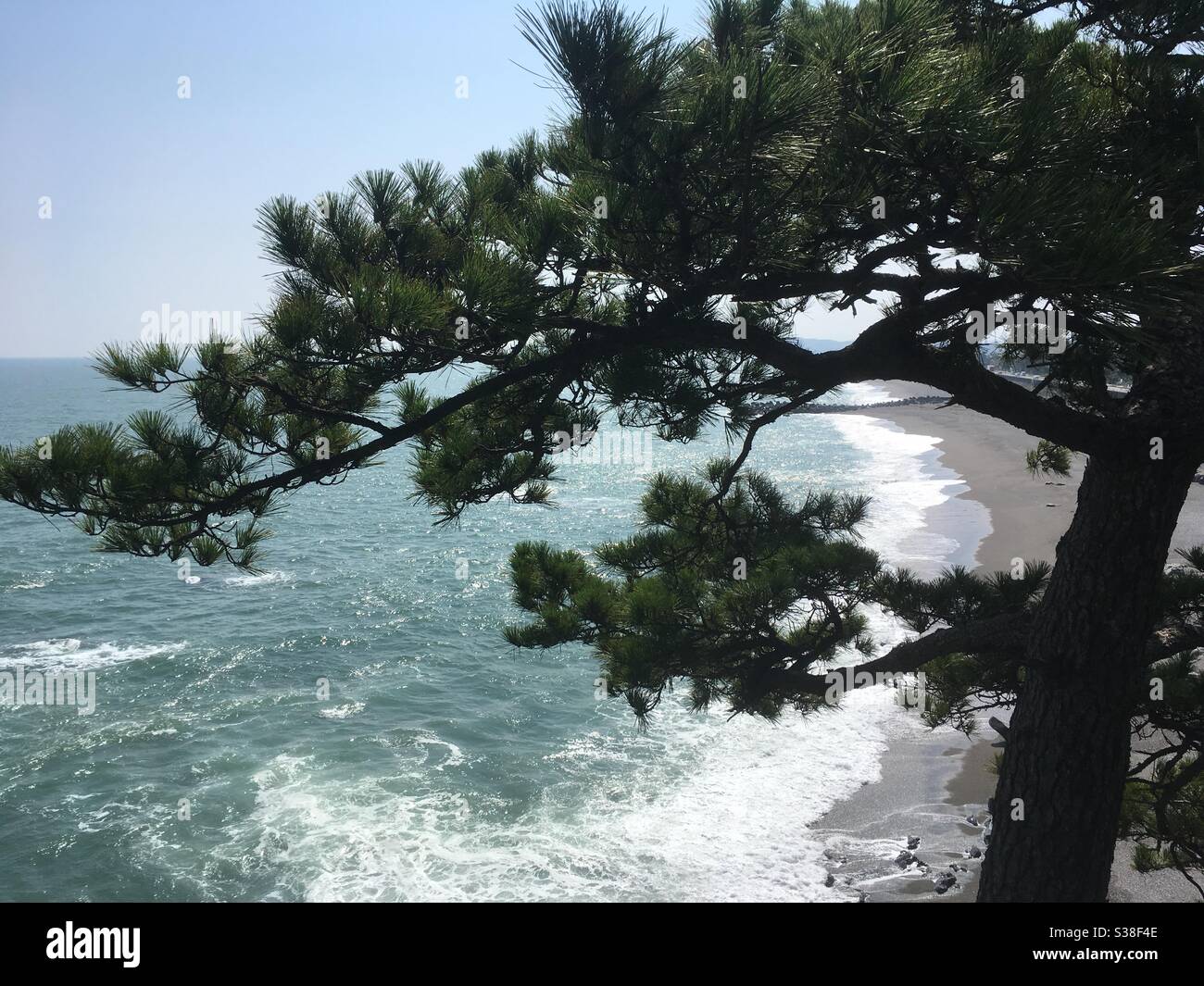 Vista della spiaggia dalla montagna con pino giapponese al primo piano Foto Stock