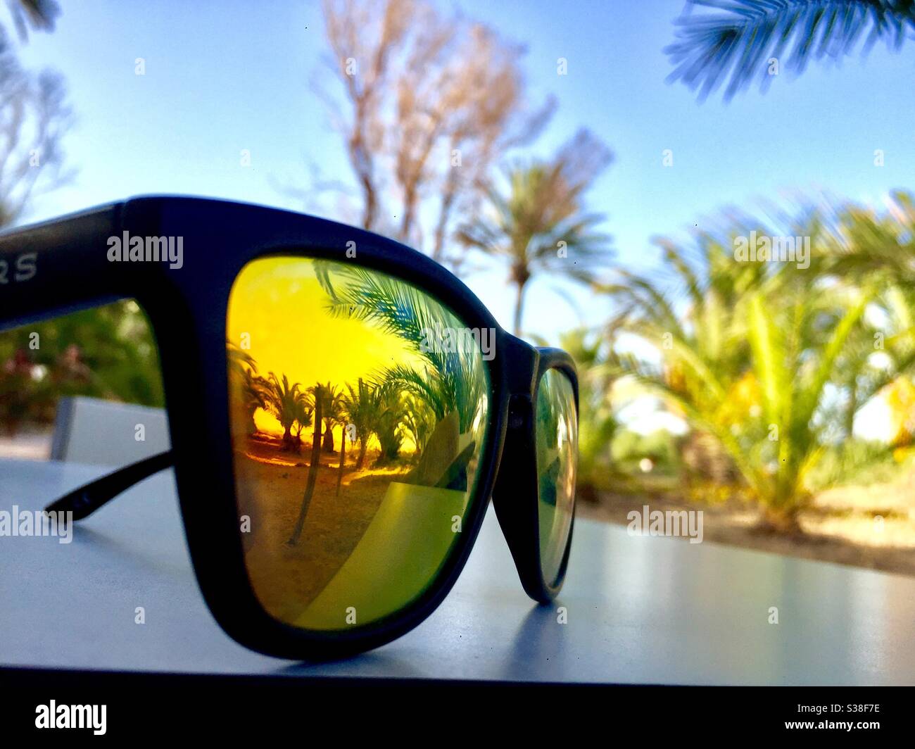 Riflettere di palma su un occhiali da sole Foto Stock