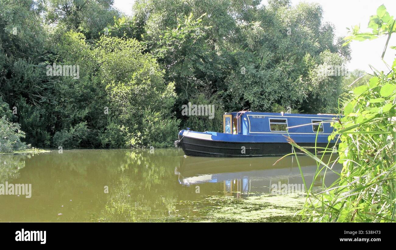 Canal boat (Rockabilly) che emerge dai cespugli sul Great River Ouse, Bedford, Bedfordshire, Inghilterra, Regno Unito. Foto Stock