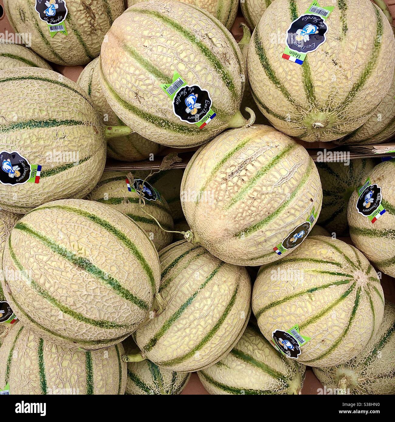 Mucchio di meloni freschi. Foto Stock