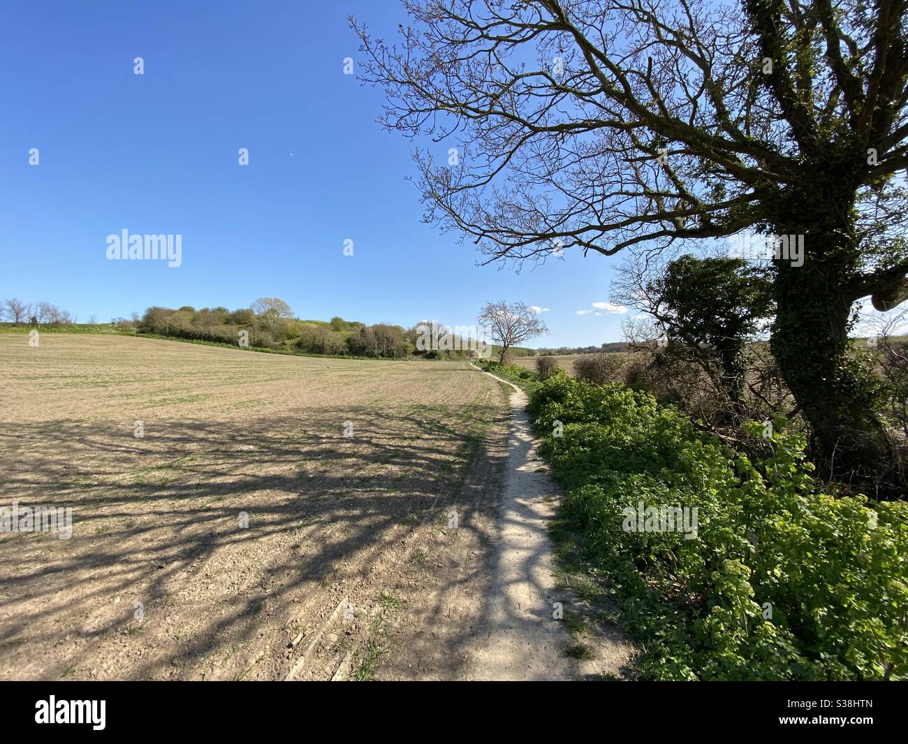 Passeggiate in campagna Foto Stock