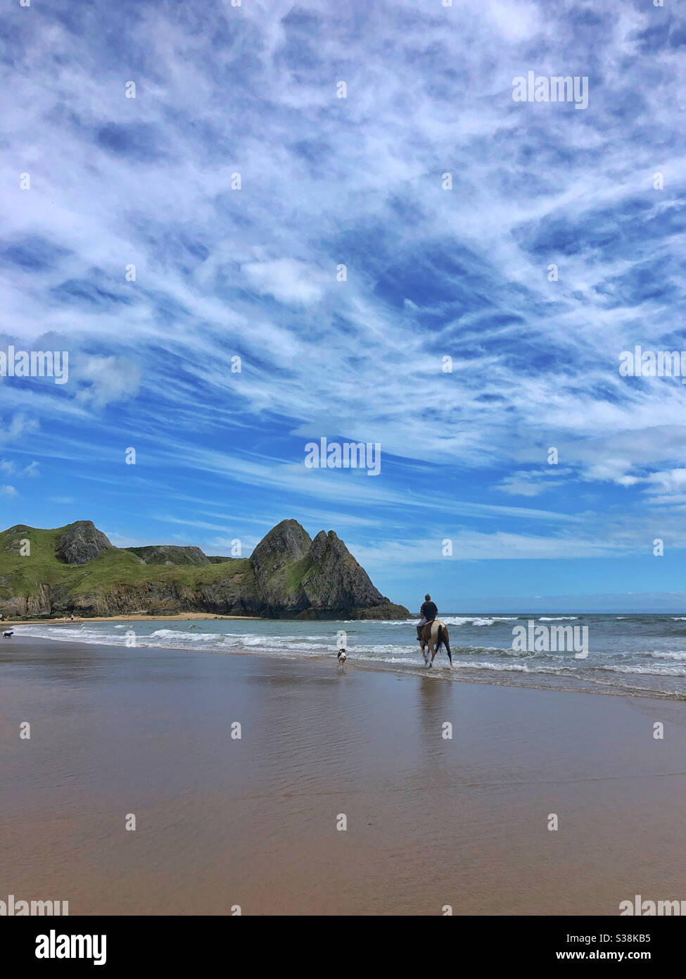 Lone cavallo e cane su Three Cliffs Bay, Gower, Swansea, Galles, agosto. Foto Stock
