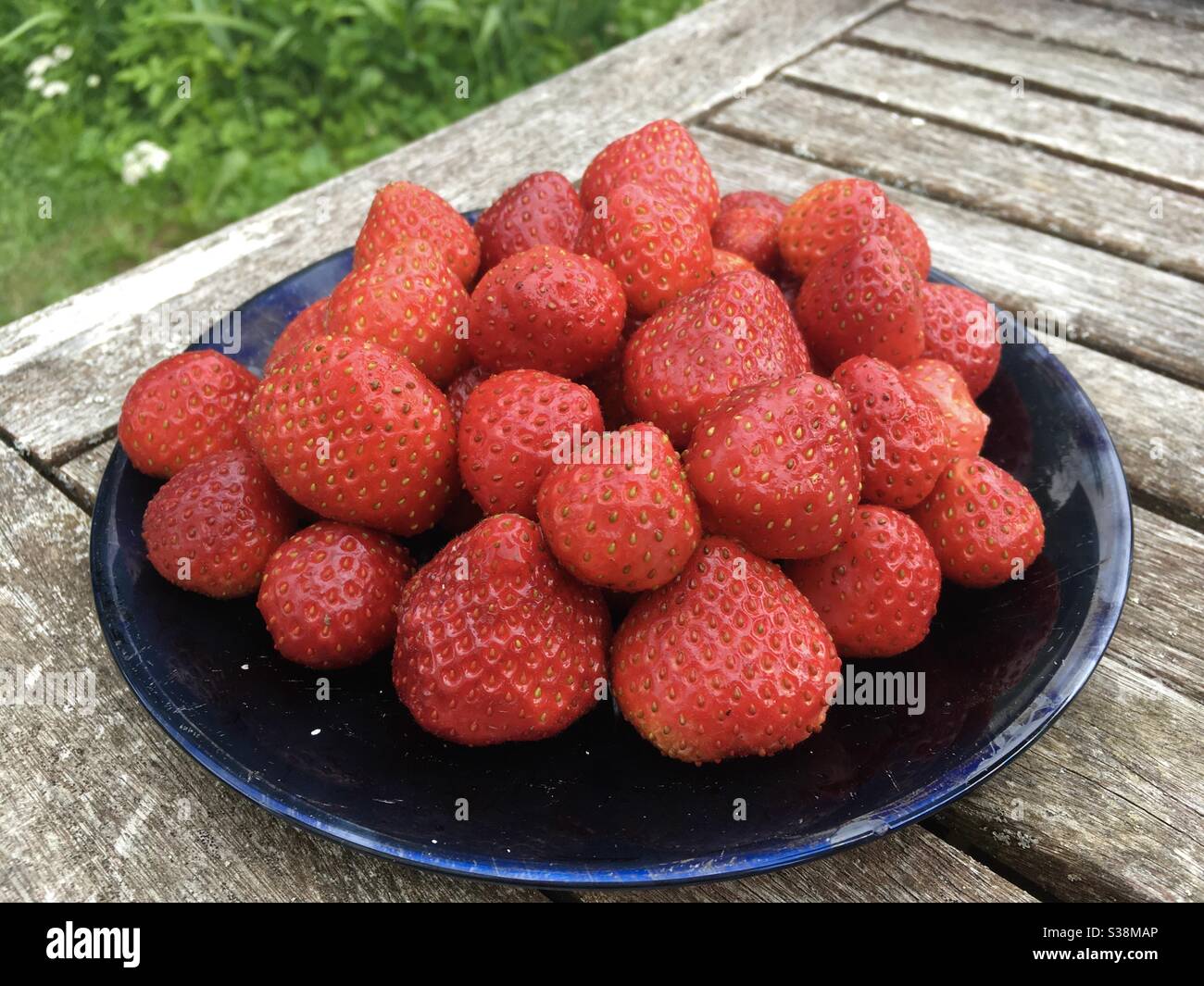 Fragole appena raccolte su un piatto nero - Immagine stock catturata con smartphone