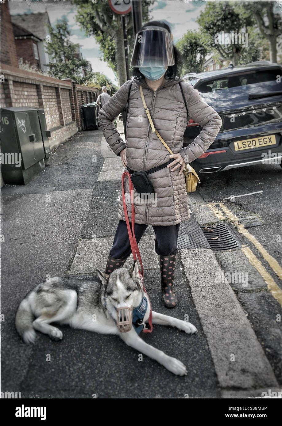 Donna in maschera e visiera con cane Husky in muso A Muswell Hill - Immagine stock catturata con smartphone