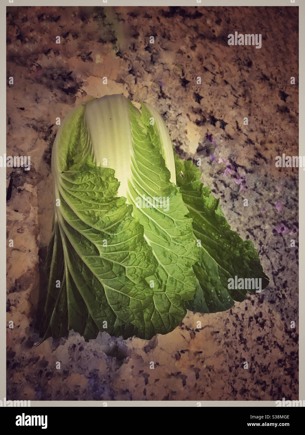 Cavolo cinese . - Immagine stock catturata con smartphone