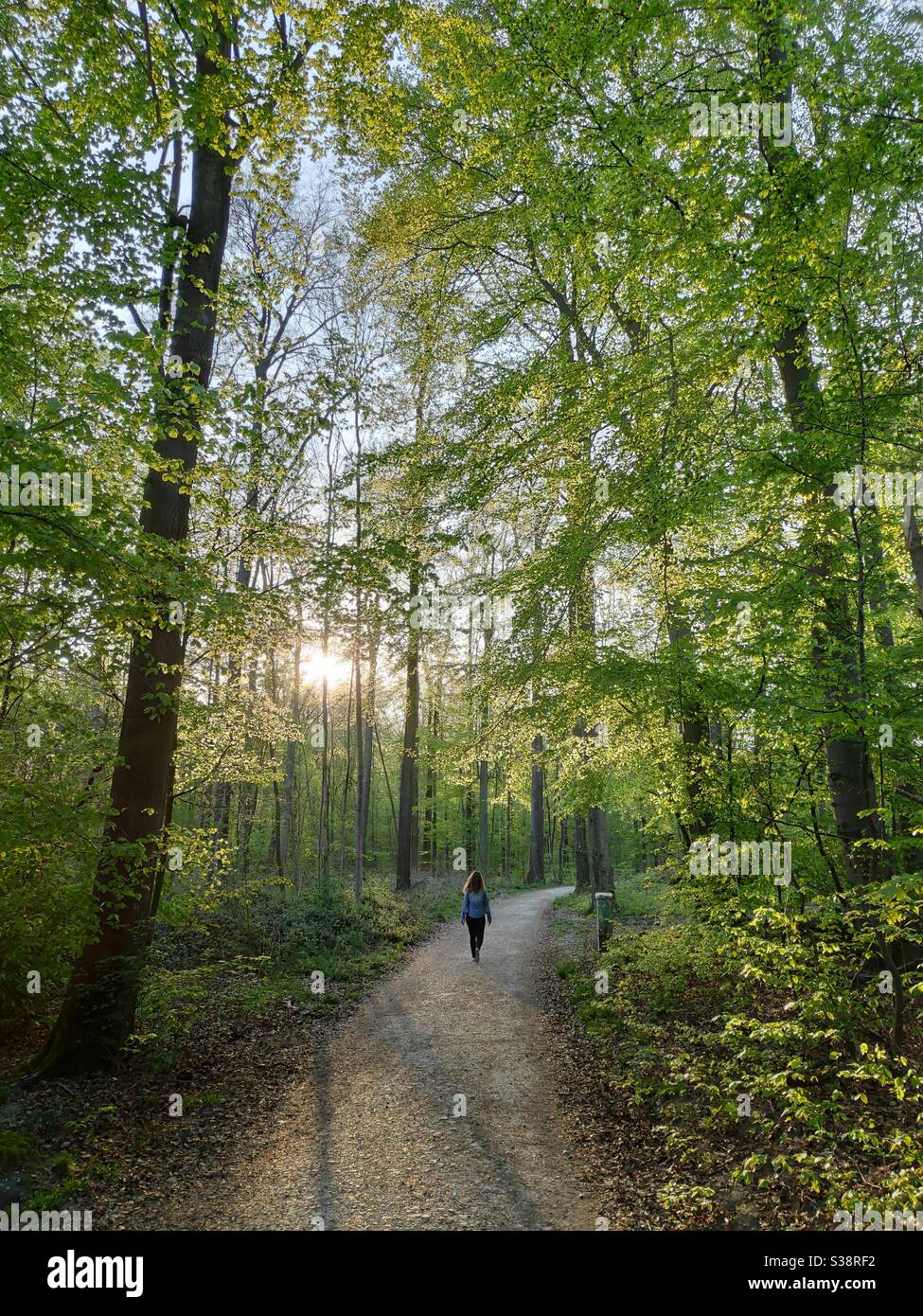 Una ragazza nella foresta Foto Stock
