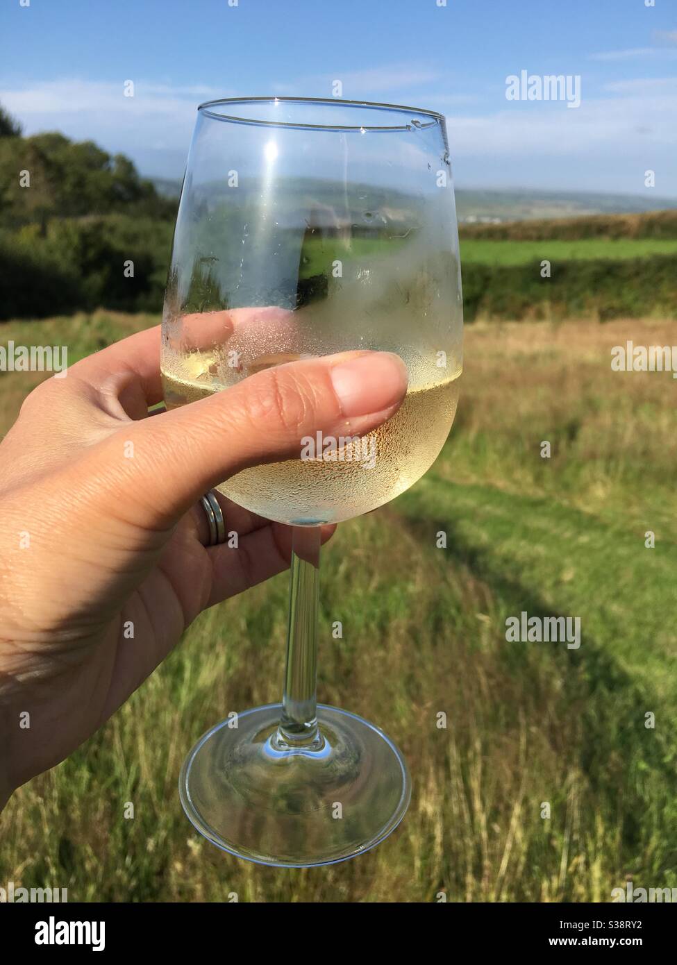 Bicchiere di vino bianco tenuto in mano davanti ai campi - Immagine stock catturata con smartphone